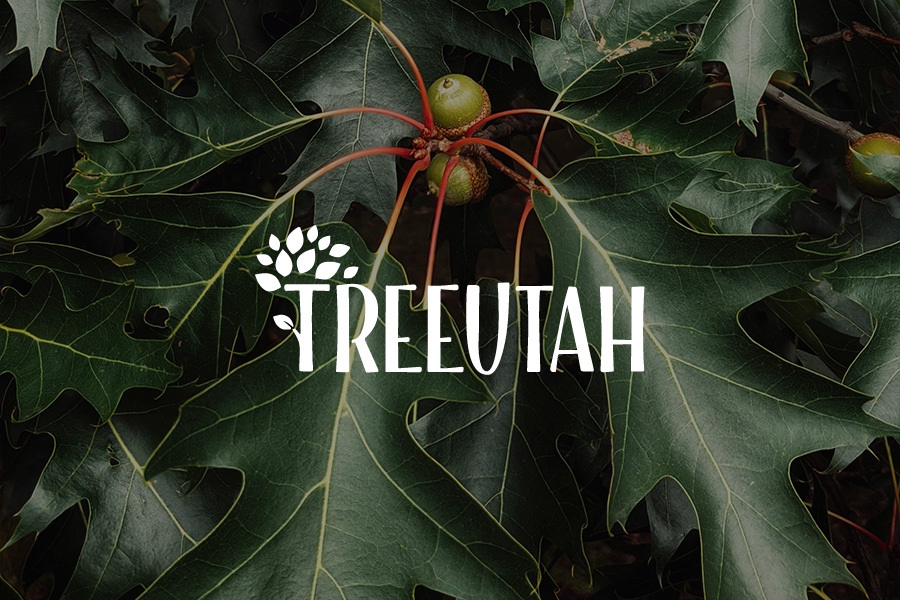 Third Sun | Utah Web + Design + Branding - Scenic Utah