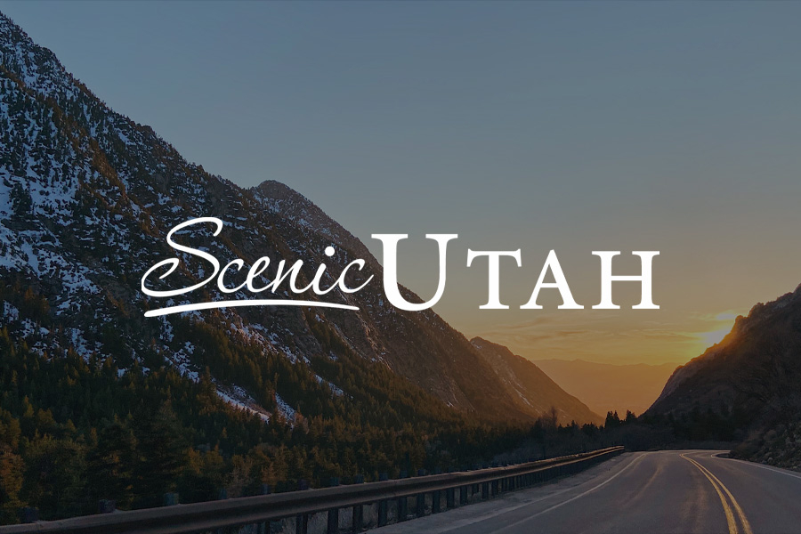 Third Sun | Utah Web + Design + Branding - Utah Community Forest Council