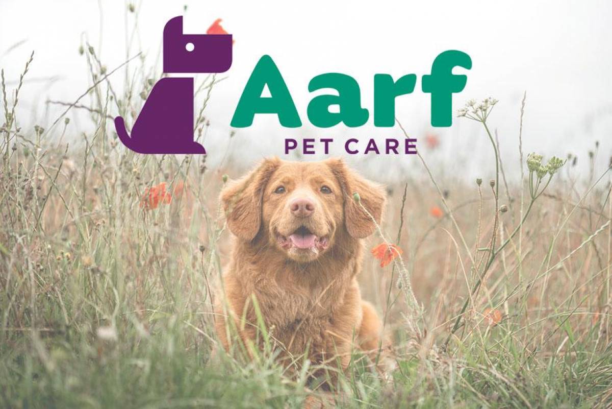 Aarf Pet Care
